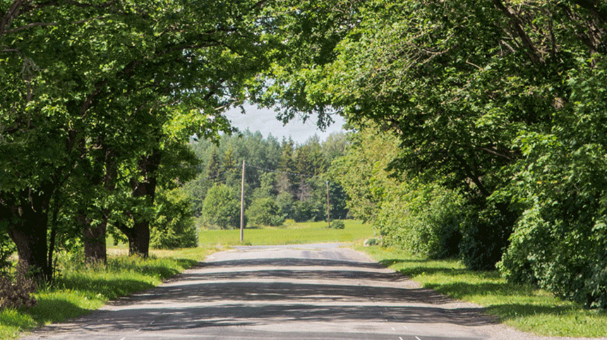 How to Recognize the Symptoms of Seasonal Affective Disorder (SAD)