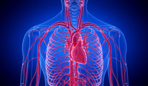 Innovations in Review: Cardiology & Heart Surgery Innovations in Review: Cardiology & Heart Surgery
