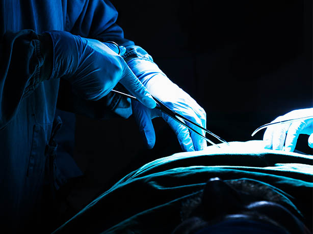 Innovations in Review: Neurology and Neurosurgery