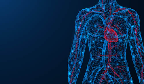 Innovations in Review: Cardiology & Heart Surgery Innovations in Review: Cardiology & Heart Surgery