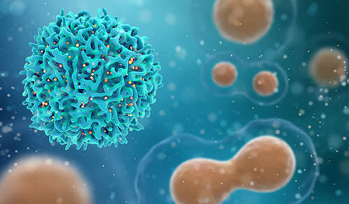 Innovations in Review: Oncology (Cancer)