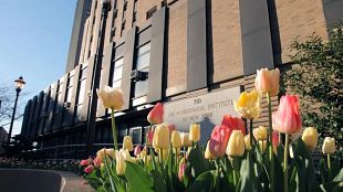 Diagram of the male reproductive system