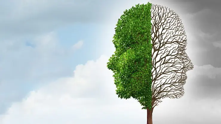 An isolated tree with two sides depicting two faces, one with leaves one without